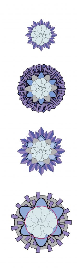 Graphisme de décor d'une vitrine pour la scénographie commerciale d'un magasin